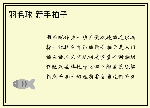 羽毛球 新手拍子