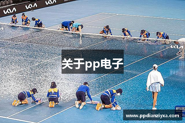 PP电子·(中国)官方网站